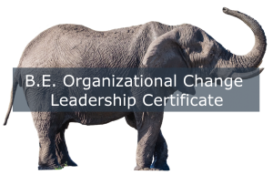 B.E. Organizational Change Leadership Certification